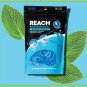 Reach Professional Floss Picks, 90 Count, Mint Flavor - TWO Packs of 90