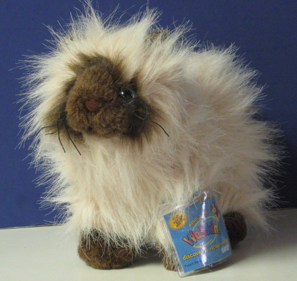 himalayan cat webkinz