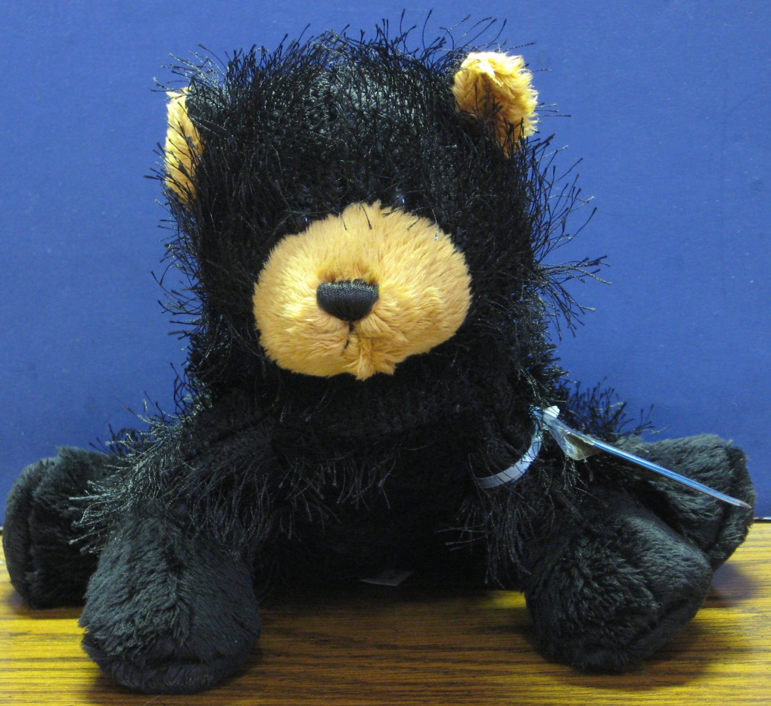 webkinz american black bear