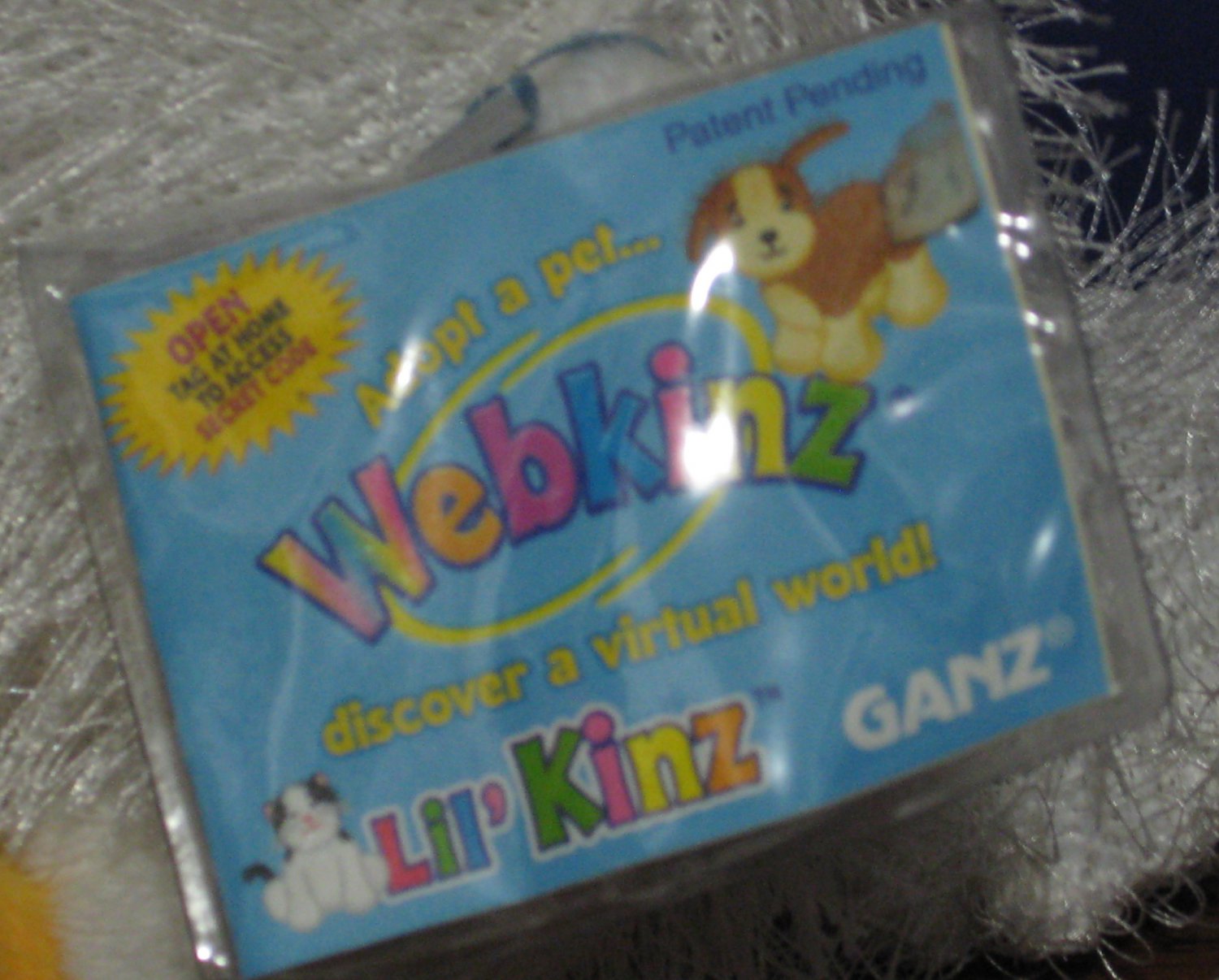 chicken webkinz