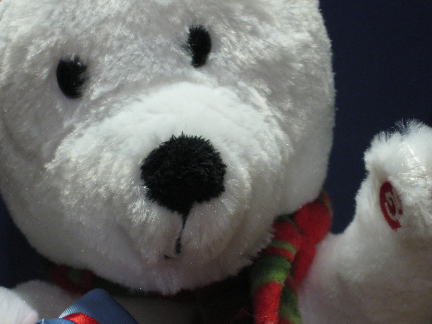 christmas singing polar bear