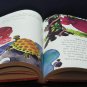 Skylights School Reader Magazine Compilation Book - Houghton Mifflin - 1981 Vintage