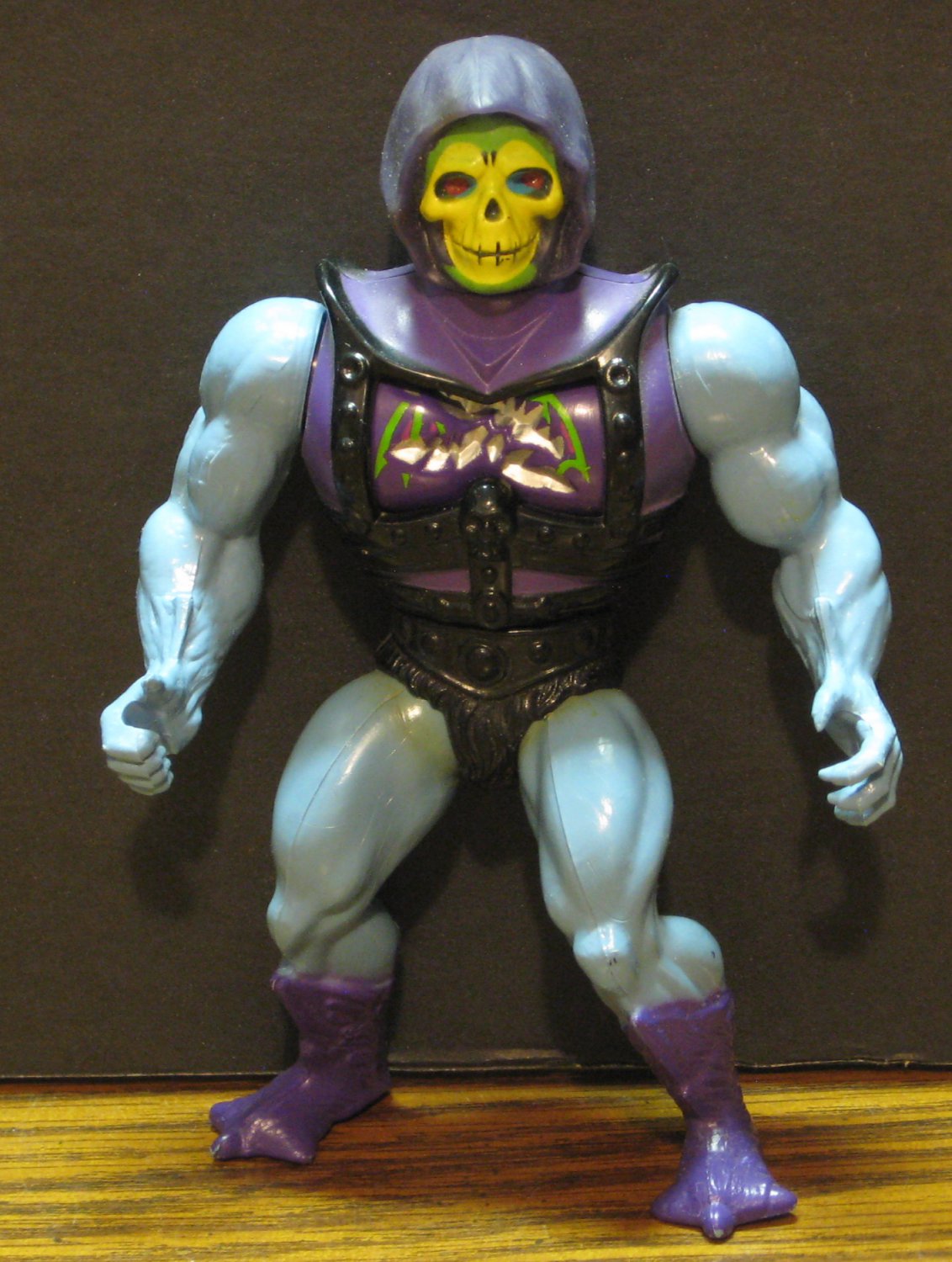 skeletor battle damage