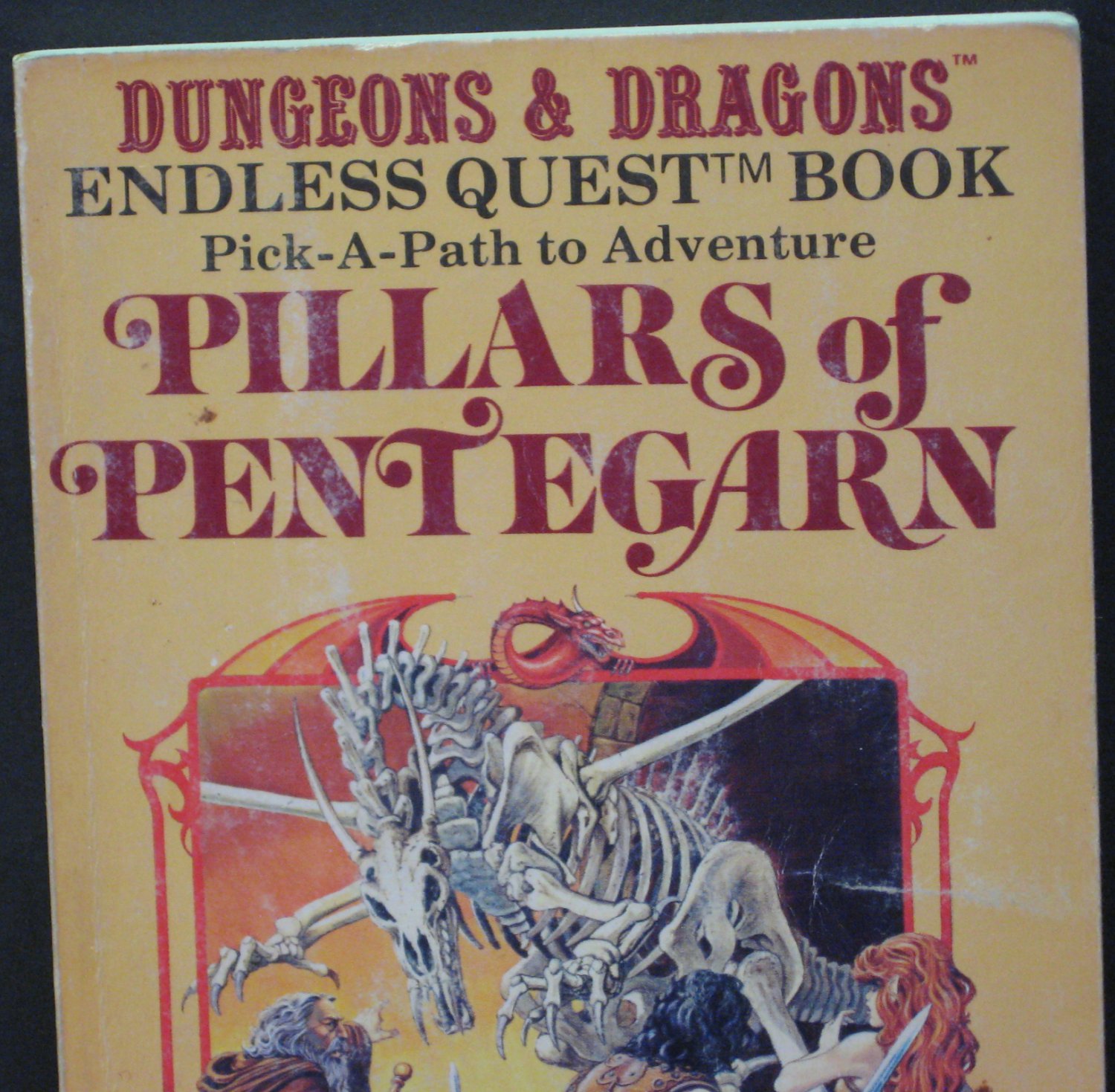 Dungeons and Dragons Endless Quest Book 03 - Pillars of Pentegarn ...