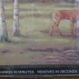 Chesapeake BBC50051B Lodge Stag Creek Portrait Wallpaper Border - 2 Yards