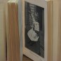 A First Book Upon the Birds of Oregon And Washington - Revised - William Rogers Lord 1902 Vintage