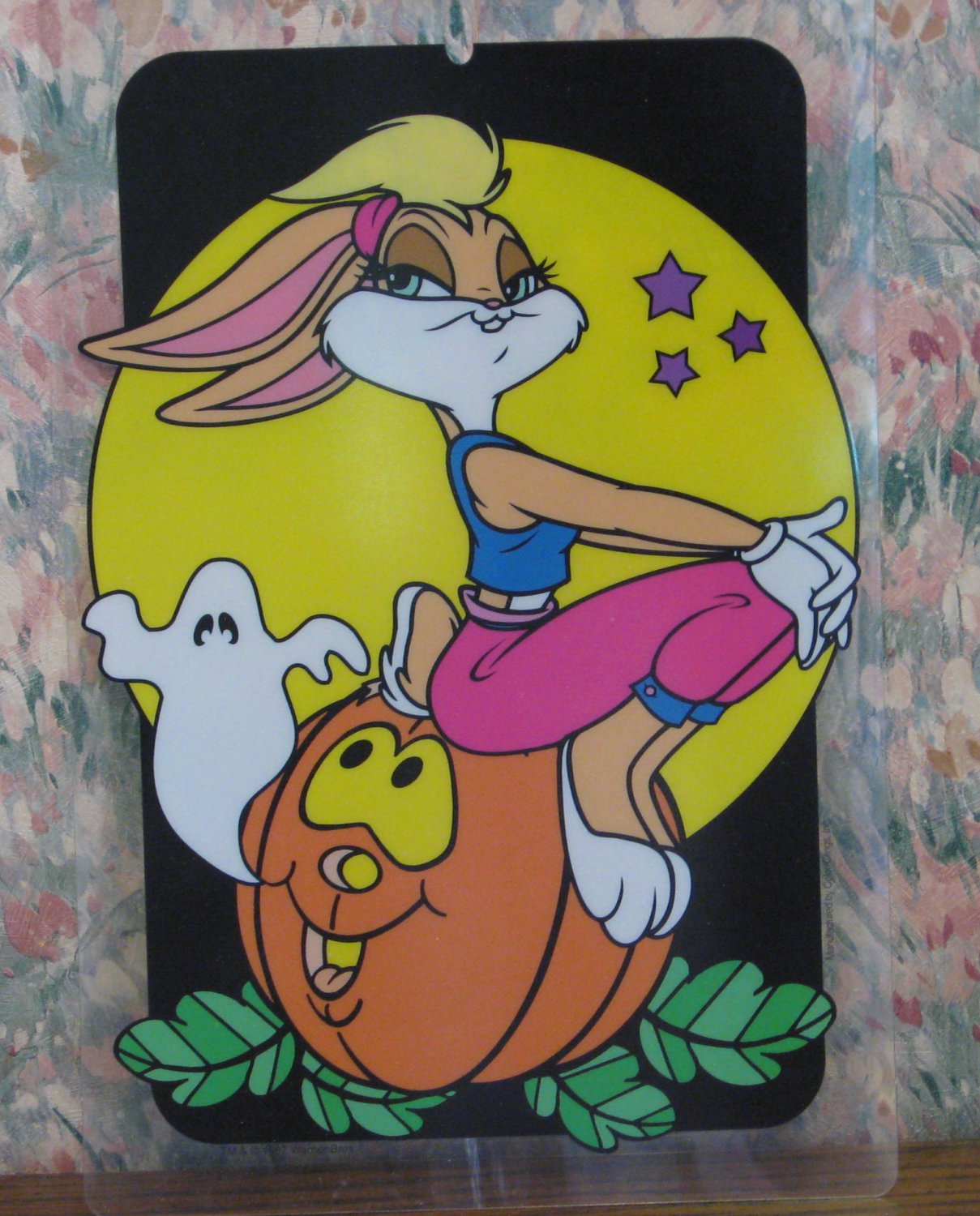 Space Jam Lola Bunny 9 X 6 On Halloween Pumpkin Wall Hanging