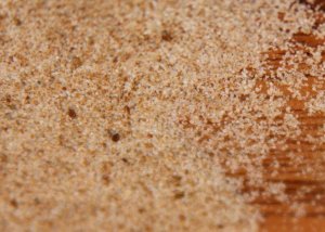 Celery Salt   12.5oz