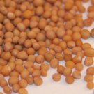 Mustard seed   7oz