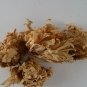Chrysanthemum Flowers  1oz