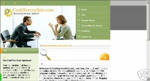 Survey Website