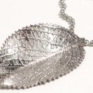 Exquisite Stainless Steel Jagged Leaf Pendant with 20" SS Ball Chain SSP4062 Exquisite Stainless Steel Jagged Leaf Pendant with 20" SS Ball Chain SSP4062