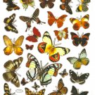 10 sheets C141 Realistic A4 Butterfly Sticker for Scrapbooking etc