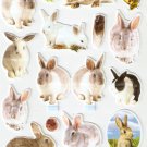 LP09 1 sheet Realistic Rabbit Hologram effect Puffy Sticker