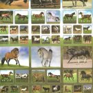 KF006 Animal Horse Removable A4 Sticker
