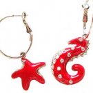 Seahorse & Starfishes By The Seashore