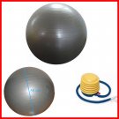 55cm Yoga Balance Ball Exercise Ball with Pump/Purple