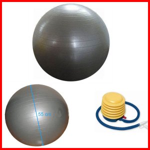 55cm Yoga Balance Ball Exercise Ball with Pump/Purple