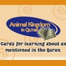 Animal Kingdom In Qur’an