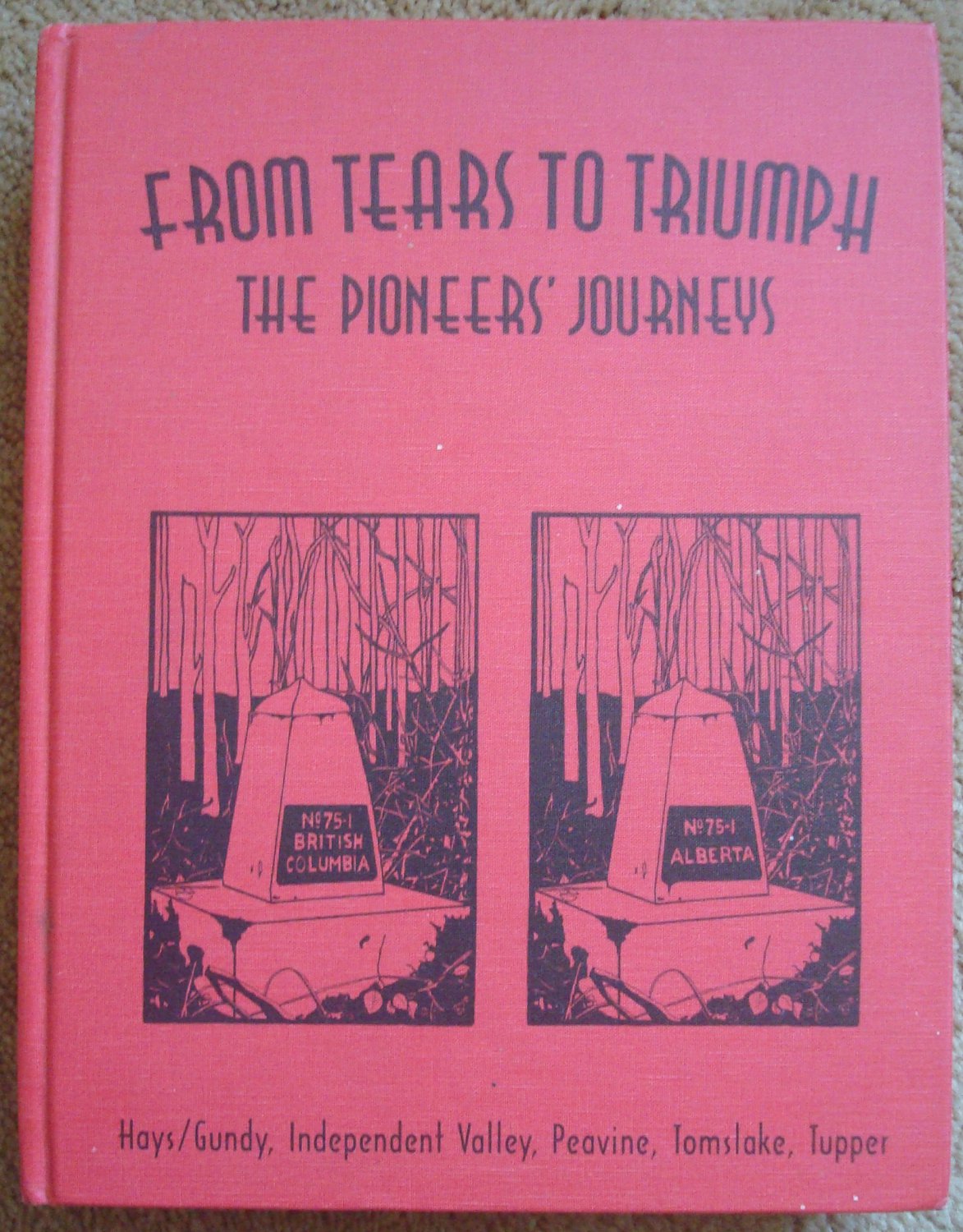 From Tears to Triumph: The Pioneers' Journey