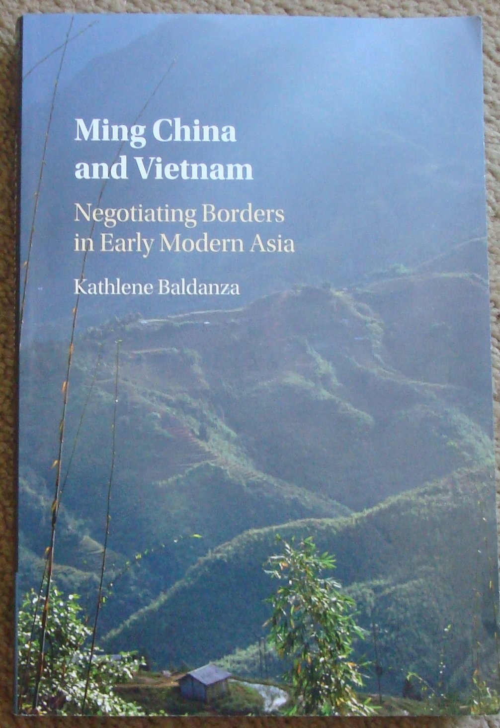 Ming China and Vietnam: Negotiating Borders in Early Modern Asia
