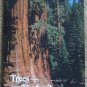 Trees - or Timber: The Story of Sequoia and Kings Canyon National Parks