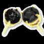 TWO  CARAT  BLACK  DIAMOND  EARRINGS