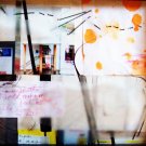 Pay Taxes by Sarah Elizabeth condon