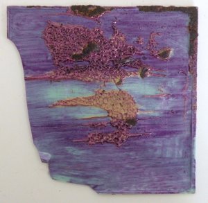 Brave New Topography: 2-11-09-15