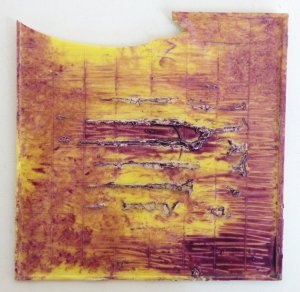 Brave New Topography: 2-19-09-11