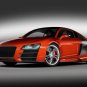 Audi R8 TDI LeMans Car Poster Print on 10 mil Archival Satin Paper 16" x 12"