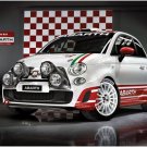 Fiat Abarth 500 R3T Rally Car Poster Print on 10 mil Archival Satin Paper 16" x 12"