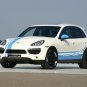 Porsche Cayenne S Hybrid Speed HYBRID 450 Archival Canvas Car Print (Rolled) 16" x 12"