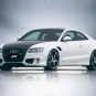ABT Audi AS5 Car Poster Print on 10 mil Archival Satin Paper 16" x 12"