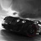 Bentley Continental Ultrasports 702 Car Poster Print on 10 mil Archival Satin Paper 16" X 12"