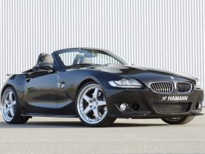 Hamann BMW Z4 M Roadster Car Poster Print on 10 mil Archival Satin Paper 20" x 15"