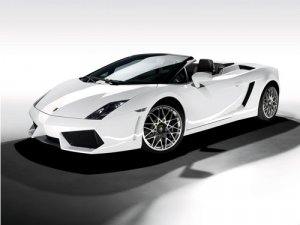 Lamborghini Gallardo LP560-4 Spyder Car Poster Print on 10 mil Archival Satin Paper 16" x 12"