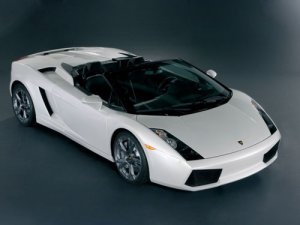 Lamborghini Gallardo Spyder Car Poster Print on 10 mil Archival Satin Paper 20" x 15"