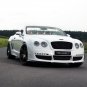 Mansory Le Mansory Convertible Car Poster Print on 10 mil Archival Satin Paper 16" x 12"