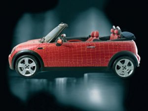Mini Cabriolet Gianfranco Ferre Concept Car Poster Print on 10 mil Archival Satin Paper 16" x 12"