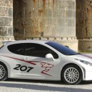 Peugeot 207 R Cup Concept Car Poster Print on 10 mil Archival Satin Paper 16" x 12"