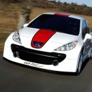 Peugeot 207 R Cup Concept Car Poster Print on 10 mil Archival Satin Paper 16" x 12"