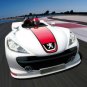 Peugeot 207 Spyder Car Poster Print on 10 mil Archival Satin Paper 20" x 15"