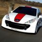 Peugeot 207 R Cup Concept Car Poster Print on 10 mil Archival Satin Paper 20" x 15"