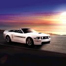 Ford Mustang 45th Anniversary Car Poster Print on 10 mil Archival Satin Paper 16" x 12""