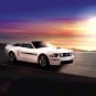 Ford Mustang 45th Anniversary Car Poster Print on 10 mil Archival Satin Paper 16" x 12""