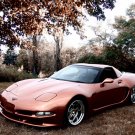 Wittera Chevrolet Corvette C5 Wide Body Car Poster Print on 10 mil Archival Satin Paper 20' x 15"