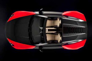 Roding Roadster Car Poster Print on 10 mil Archival Satin Paper 16" x 12"