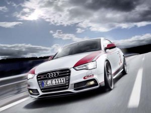Audi S5 Eibach Project Car Poster Print on 10 mil Archival Satin Paper 16" x 12"