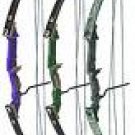 Composite Bow